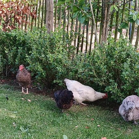Le Jardin Bed & Breakfast Coudeville Bagian luar foto