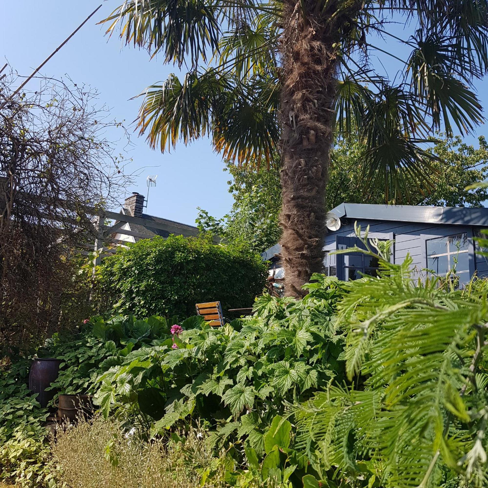 Le Jardin Bed & Breakfast Coudeville Bagian luar foto