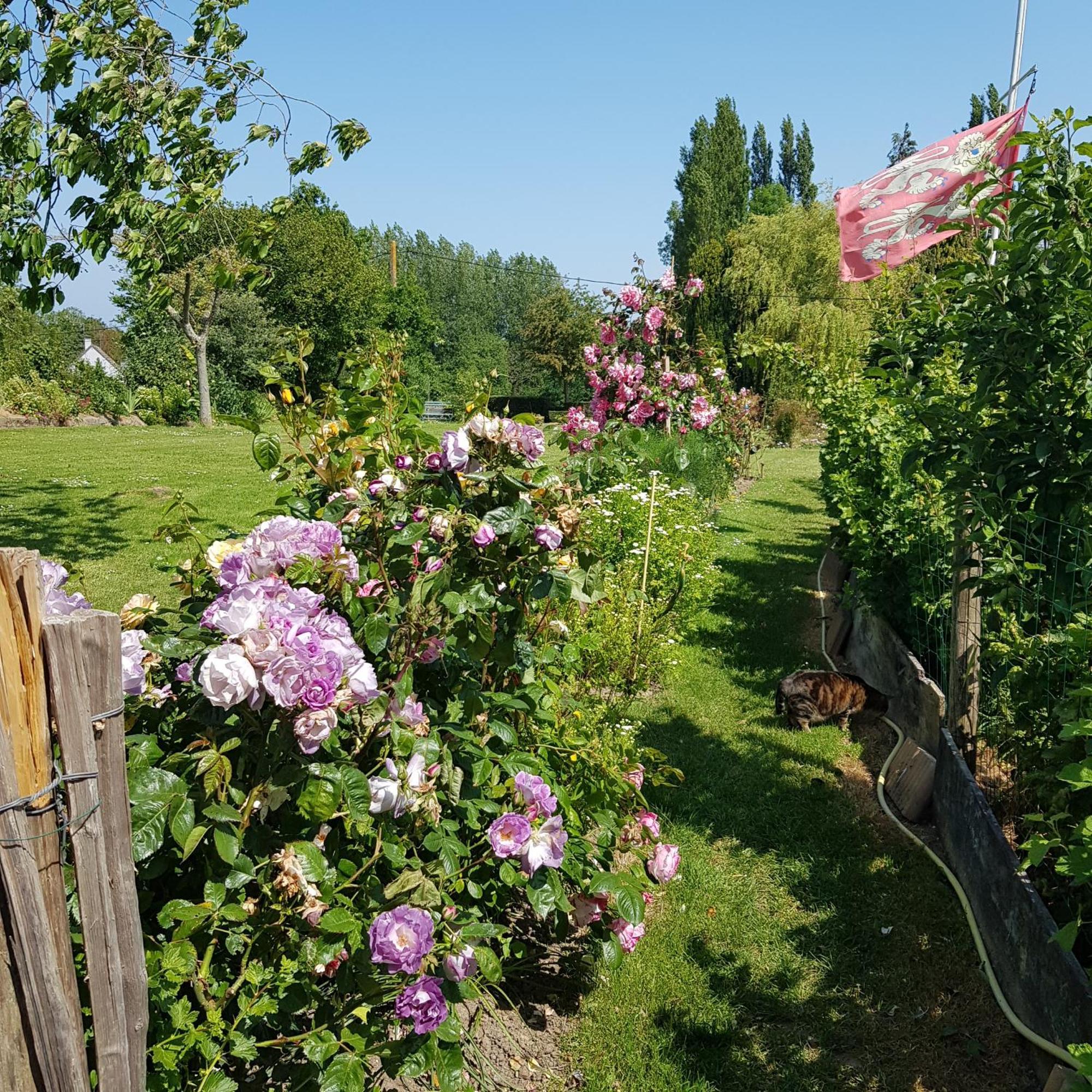 Le Jardin Bed & Breakfast Coudeville Bagian luar foto